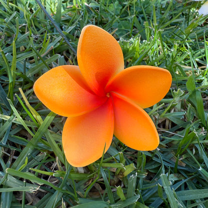 Maile XS Frangipani Sei Flowers 5cm