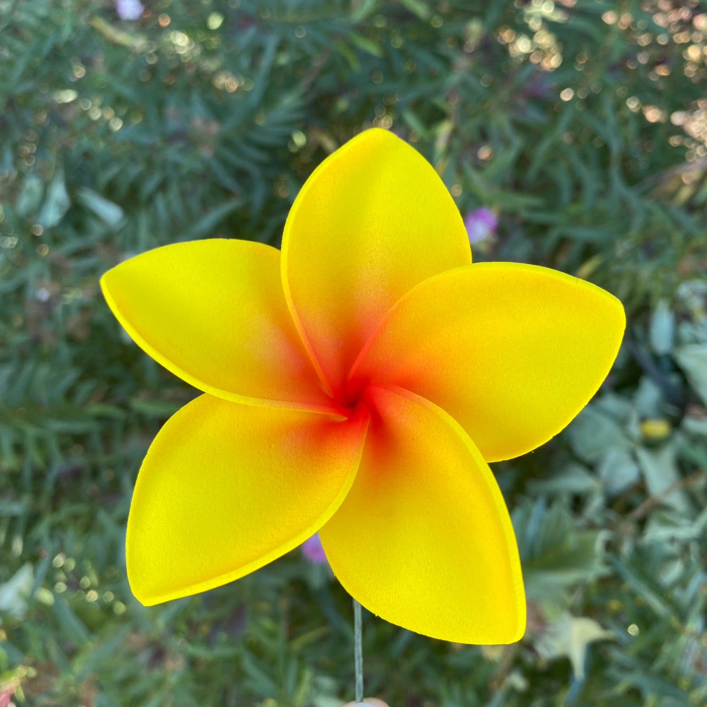 Amaia Large Frangipani Sei Faux Hair Flowers Pacific Islander Womens Accessories 9cm Tekiteki - Island Aesthetica