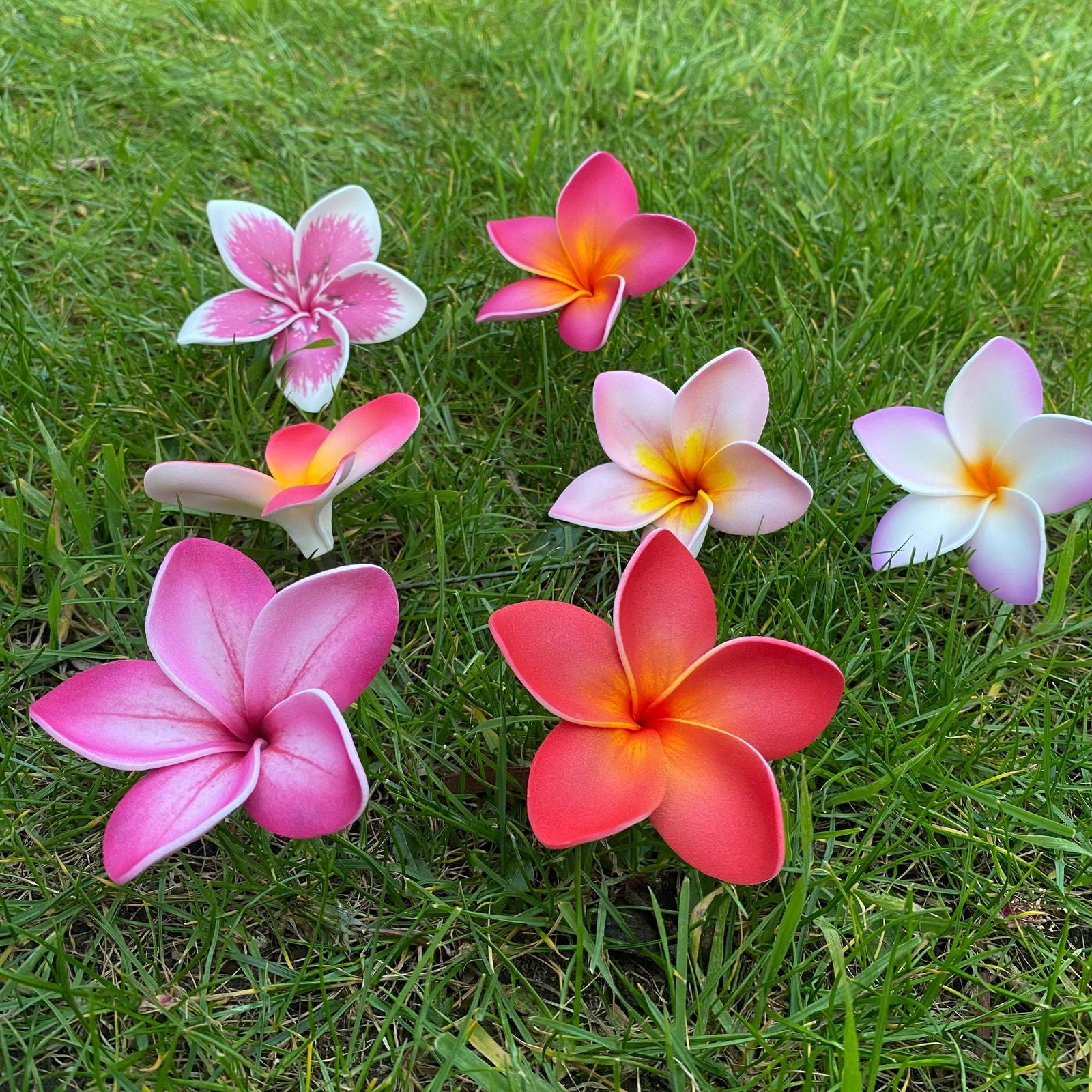 Elei Frangipani Sei Foam Flowers 7.5cm Pacific Islands Accessories Size Medium - Island Aesthetica