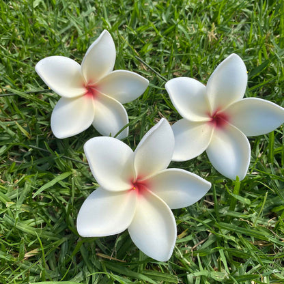 Elei Frangipani Sei Foam Flowers 7.5cm Pacific Islands Accessories Size Medium - Island Aesthetica