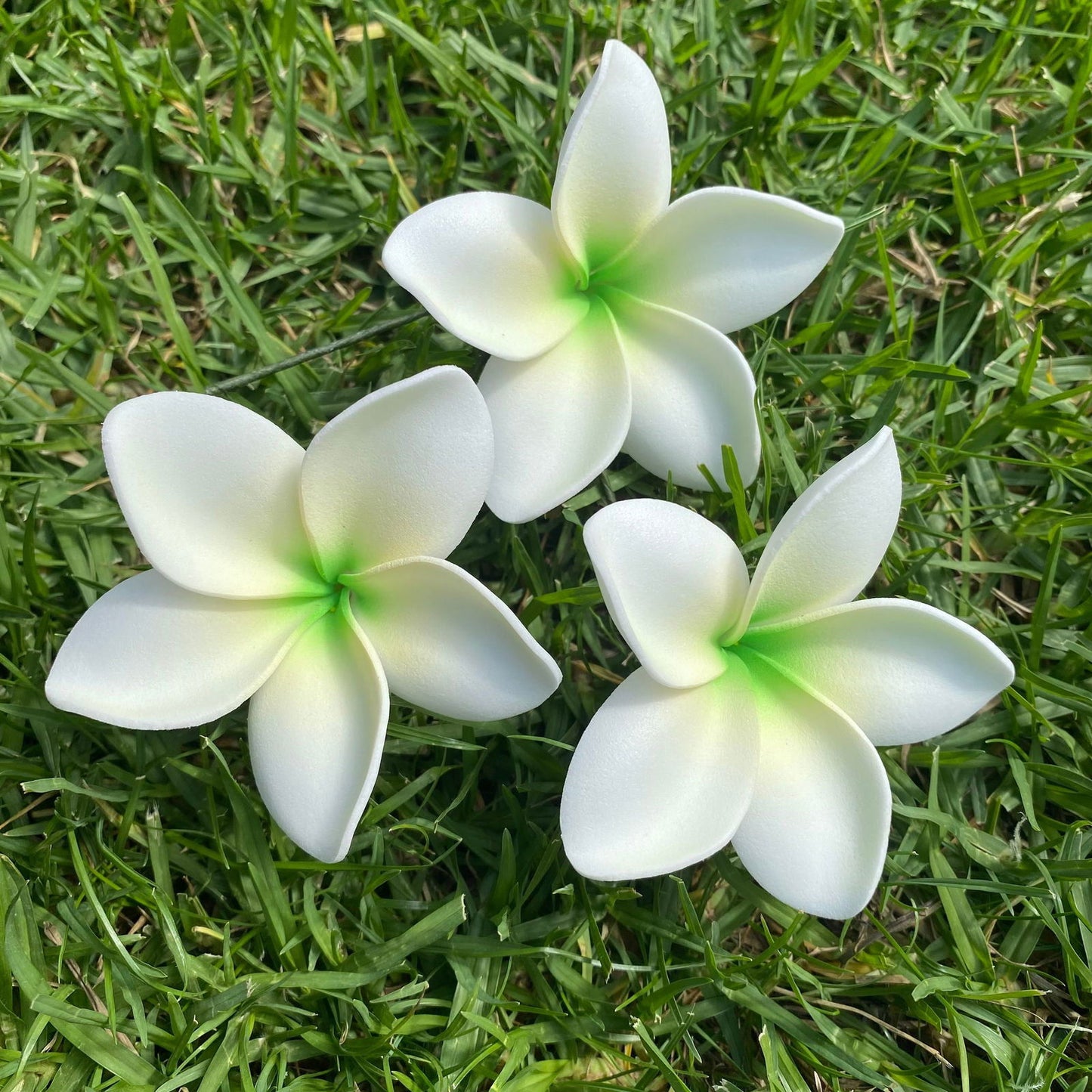 Elei Frangipani Sei Foam Flowers 7.5cm Pacific Islands Accessories Size Medium - Island Aesthetica