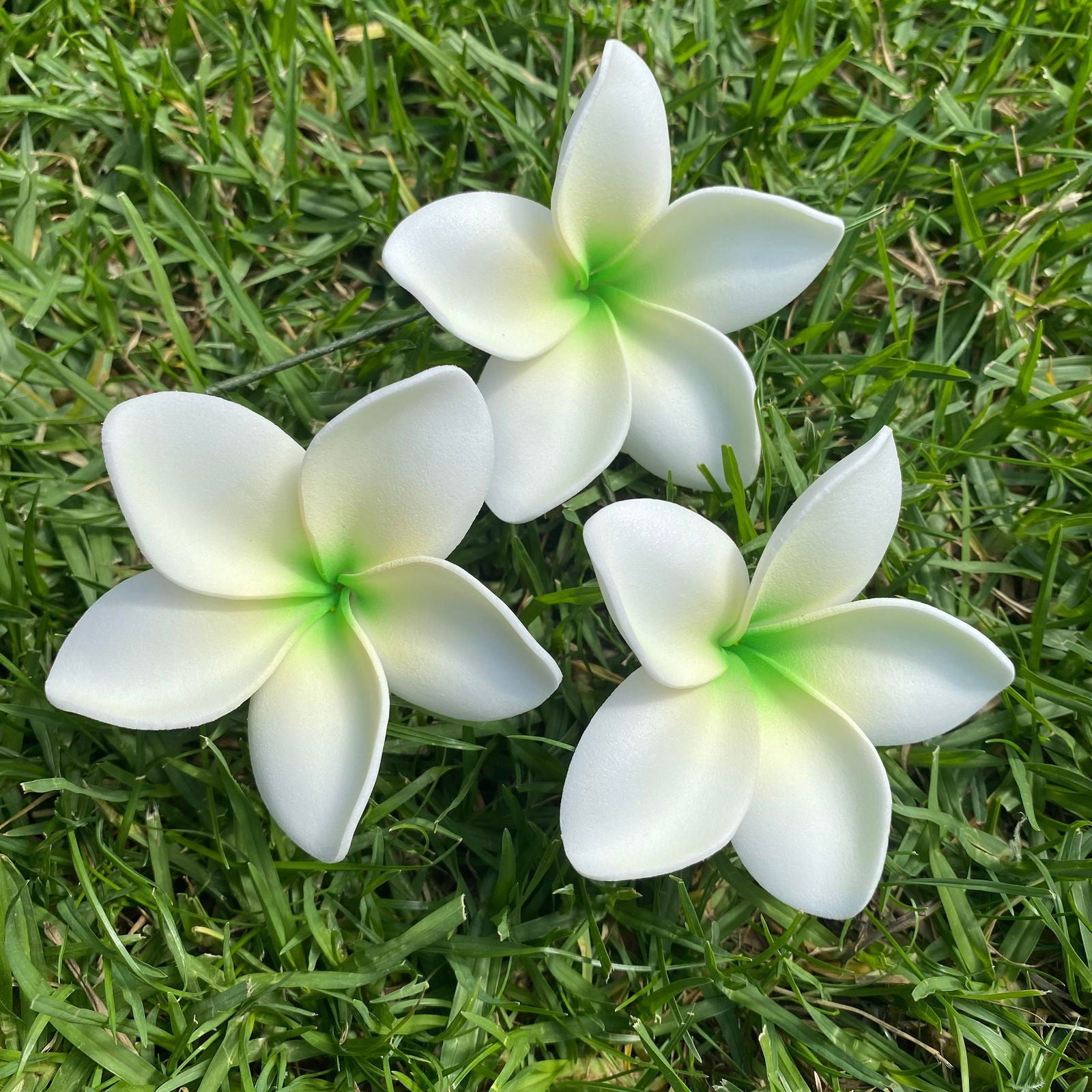 Elei Frangipani Sei Foam Flowers 7.5cm Pacific Islands Accessories Size Medium - Island Aesthetica