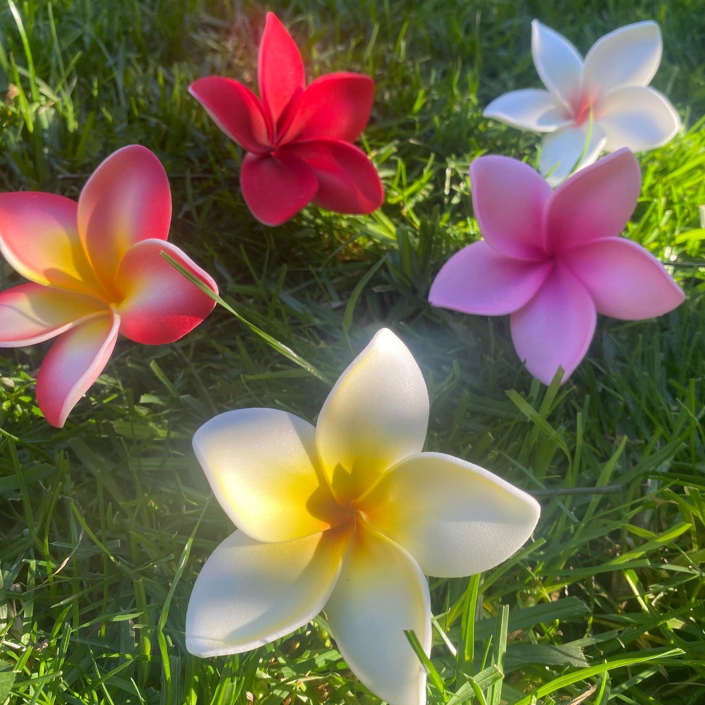 Elei Frangipani Sei Foam Flowers 7.5cm Pacific Islands Accessories Size Medium - Island Aesthetica
