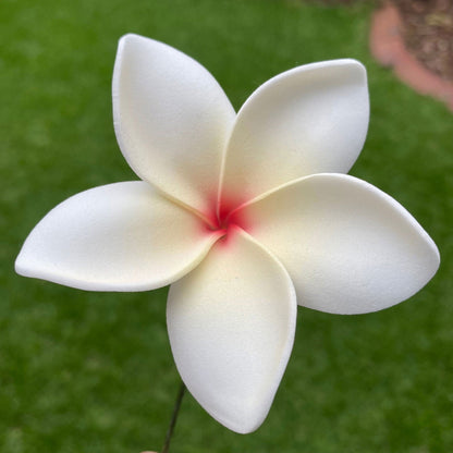 Elei Frangipani Sei Foam Flowers 7.5cm Pacific Islands Accessories Size Medium - Island Aesthetica