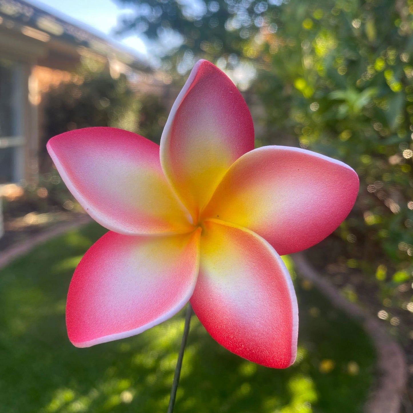 Elei Frangipani Sei Foam Flowers 7.5cm Pacific Islands Accessories Size Medium - Island Aesthetica