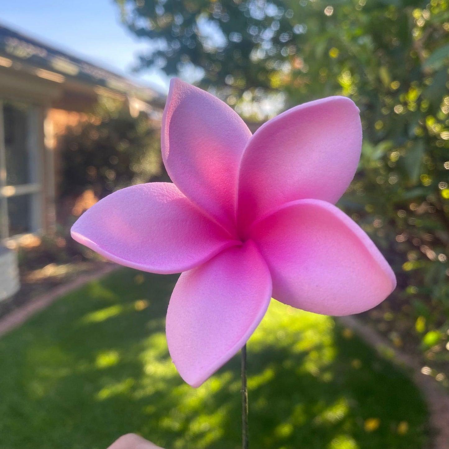 Elei Frangipani Sei Foam Flowers 7.5cm Pacific Islands Accessories Size Medium - Island Aesthetica