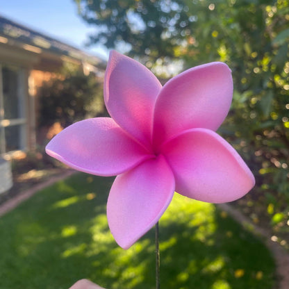 Elei Frangipani Sei Foam Flowers 7.5cm Pacific Islands Accessories Size Medium - Island Aesthetica