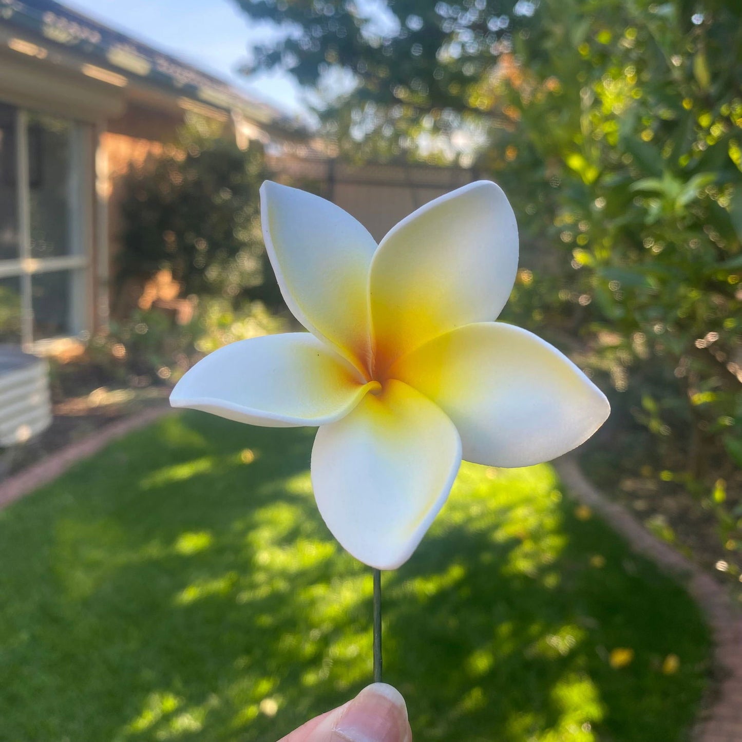 Elei Frangipani Sei Foam Flowers 7.5cm Pacific Islands Accessories Size Medium - Island Aesthetica