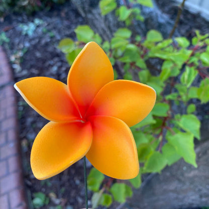 Elei Frangipani Sei Foam Flowers 7.5cm Pacific Islands Accessories Size Medium - Island Aesthetica