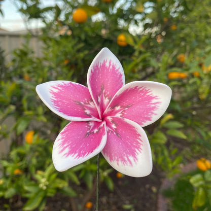 Elei Frangipani Sei Foam Flowers 7.5cm Pacific Islands Accessories Size Medium - Island Aesthetica