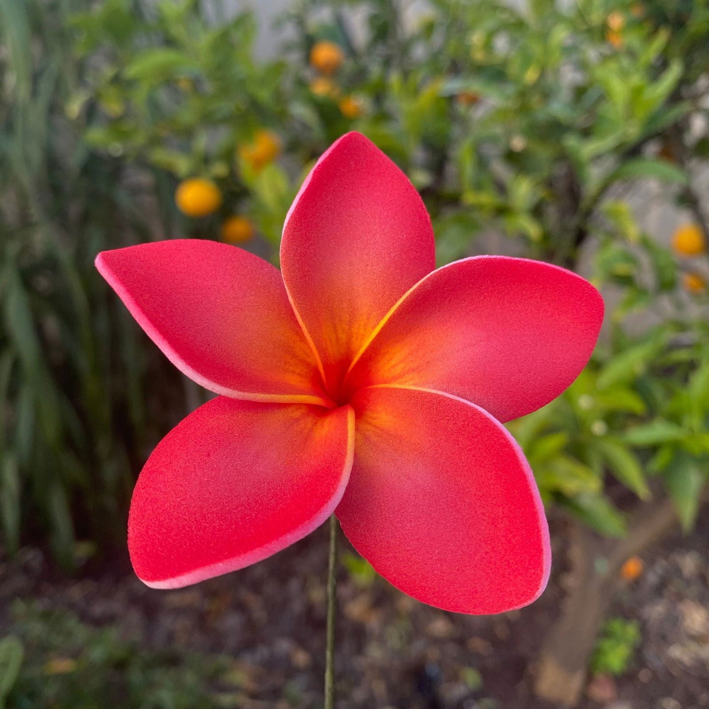 Elei Frangipani Sei Foam Flowers 7.5cm Pacific Islands Accessories Size Medium - Island Aesthetica