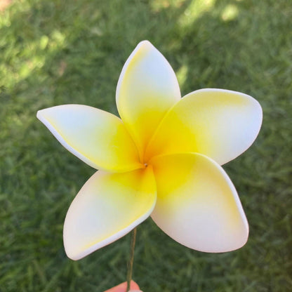 Elei Frangipani Sei Foam Flowers 7.5cm Pacific Islands Accessories Size Medium - Island Aesthetica