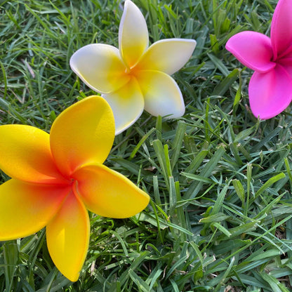 Elei Frangipani Sei Foam Flowers 7.5cm Pacific Islands Accessories Size Medium - Island Aesthetica