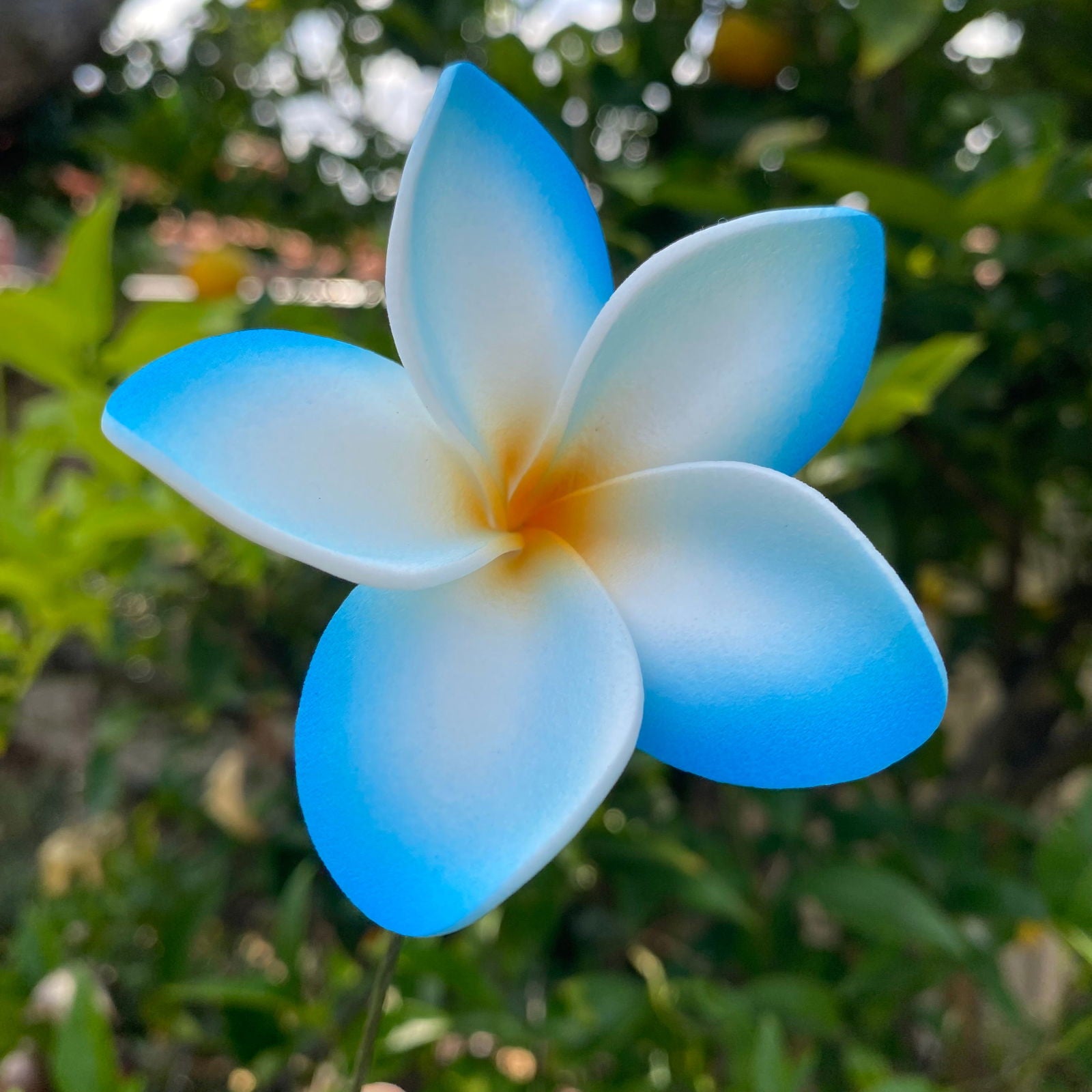 Elei Frangipani Sei Foam Flowers 7.5cm Pacific Islands Accessories Size Medium - Island Aesthetica