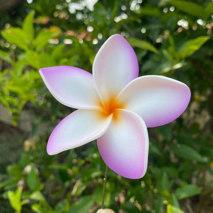 Elei Frangipani Sei Foam Flowers 7.5cm Pacific Islands Accessories Size Medium - Island Aesthetica