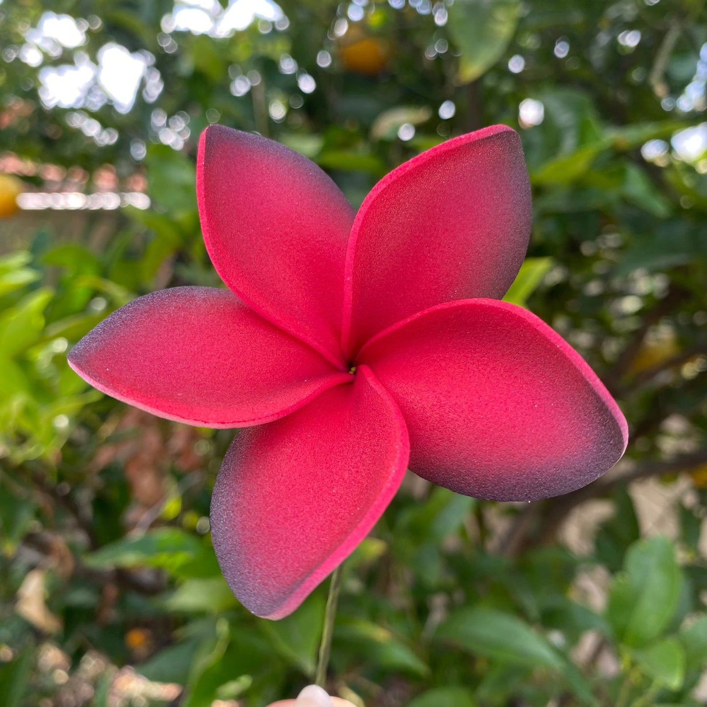 Elei Frangipani Sei Foam Flowers 7.5cm Pacific Islands Accessories Size Medium - Island Aesthetica