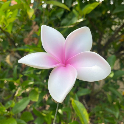 Elei Frangipani Sei Foam Flowers 7.5cm Pacific Islands Accessories Size Medium - Island Aesthetica