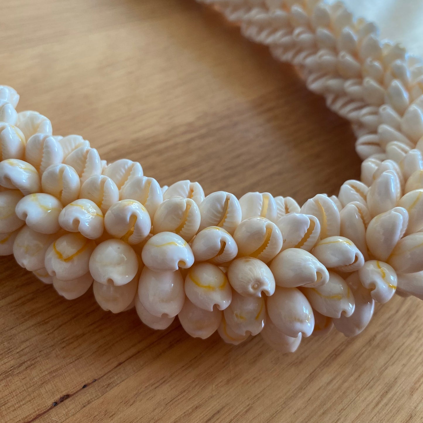 Cowrie Shell Necklace Ula Lei