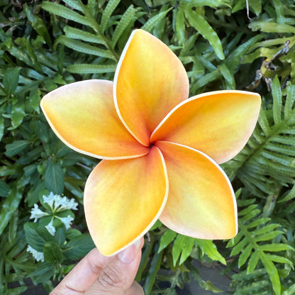 Atalina Frangipani Sei Flowers Size L Pacific Islands Polynesian Hair Flowers Pua