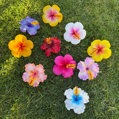 Solana Assorted XL Hibiscus Gift Box (10x)