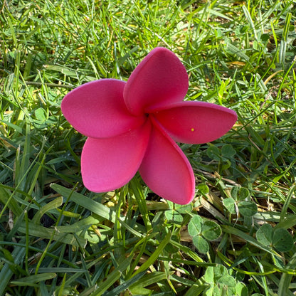 Maile XS Frangipani Sei Flowers 5cm