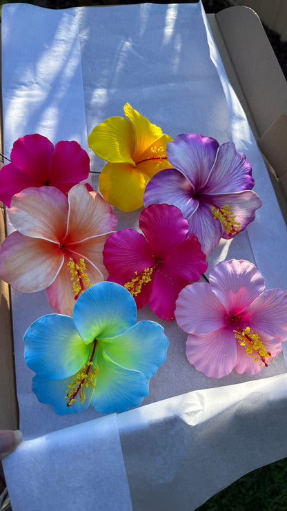 Sinalei Large Hibiscus Flowers (7x) Gift Box