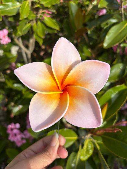 Atalina Frangipani Sei Flowers Size L Pacific Islands Polynesian Hair Flowers Pua