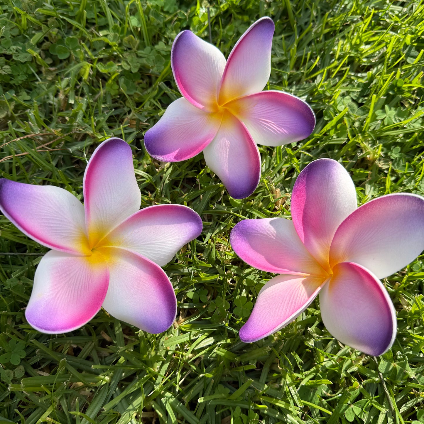 Noalofa Large Frangipani Sei Hair Flowers 11cm Tekiteki Pacific Islander Womens Accessories