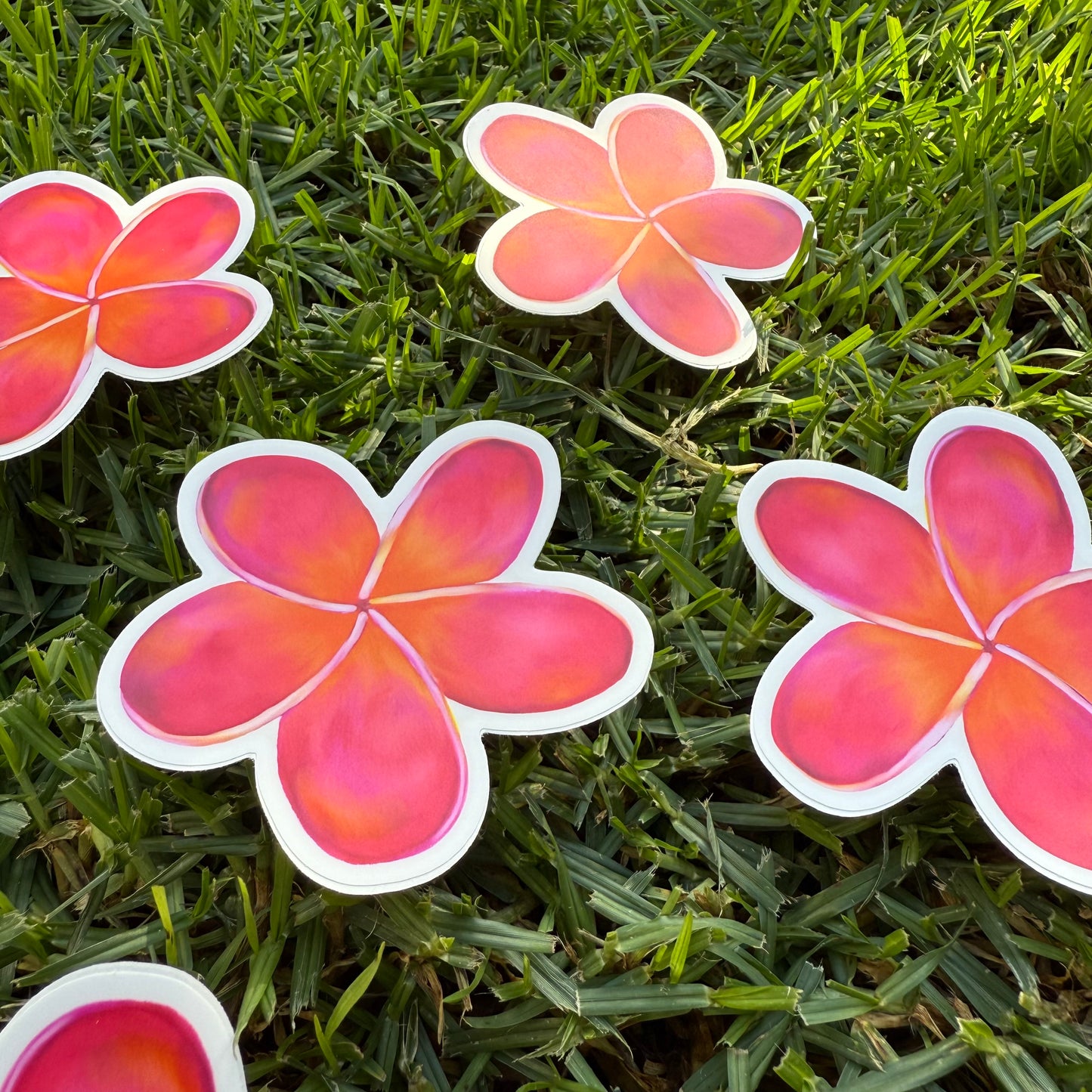 Plumeria Stickers