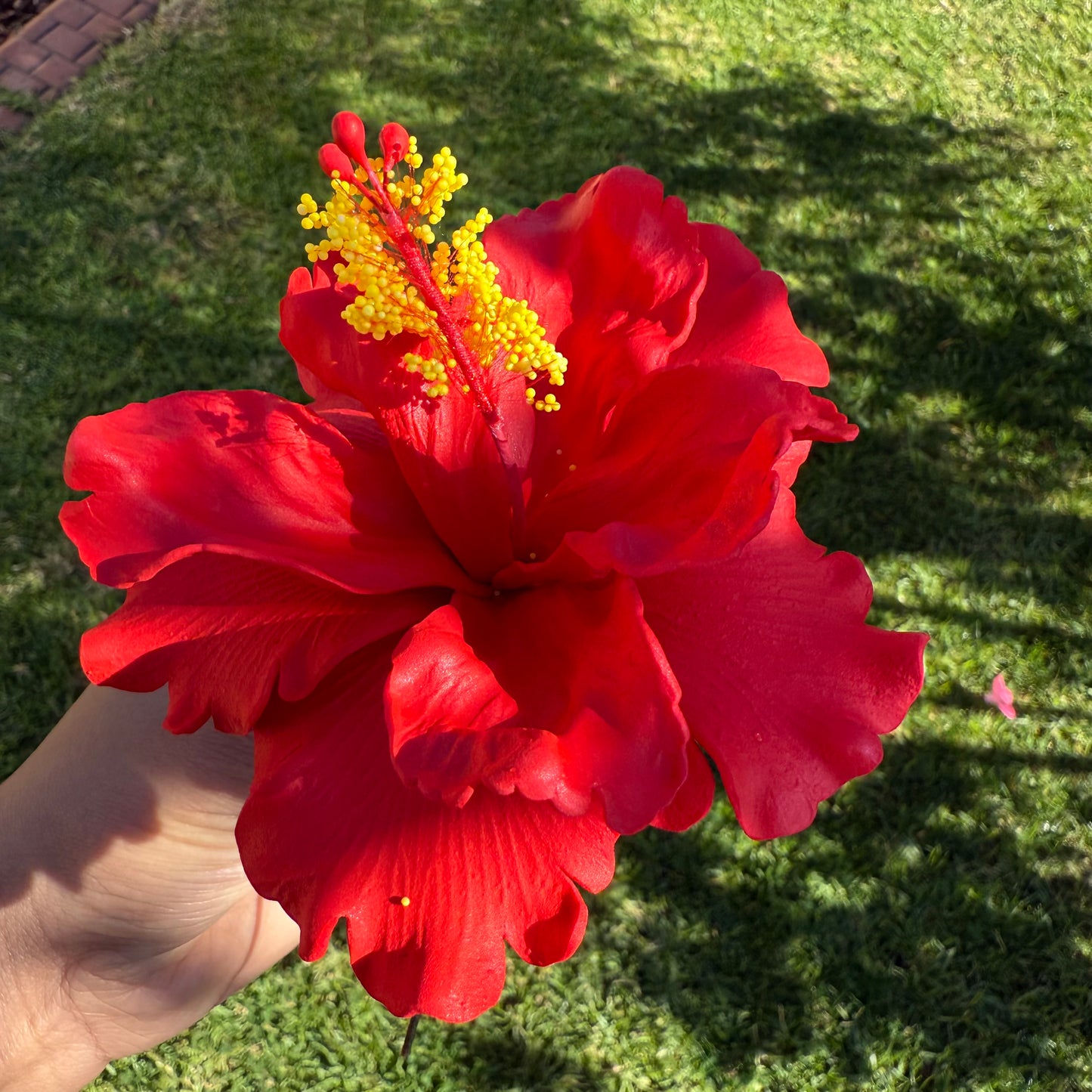 Arihi XL Double Hibiscus Flowers 11cm