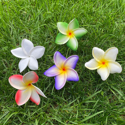 Frangipani Gradient Sei Flowers 8cm Plumeria - Island Aesthetica