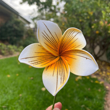 Gradient Frangipani Plumeria Stripes Polynesian Sei Flowers - Island Aesthetica