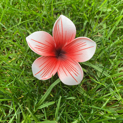 Gradient Frangipani Plumeria Stripes Polynesian Sei Flowers - Island Aesthetica