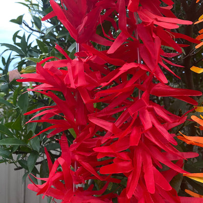 Lei Tropical Hawaiian Beach Luau Party Garland Hula Dance - Island Aesthetica