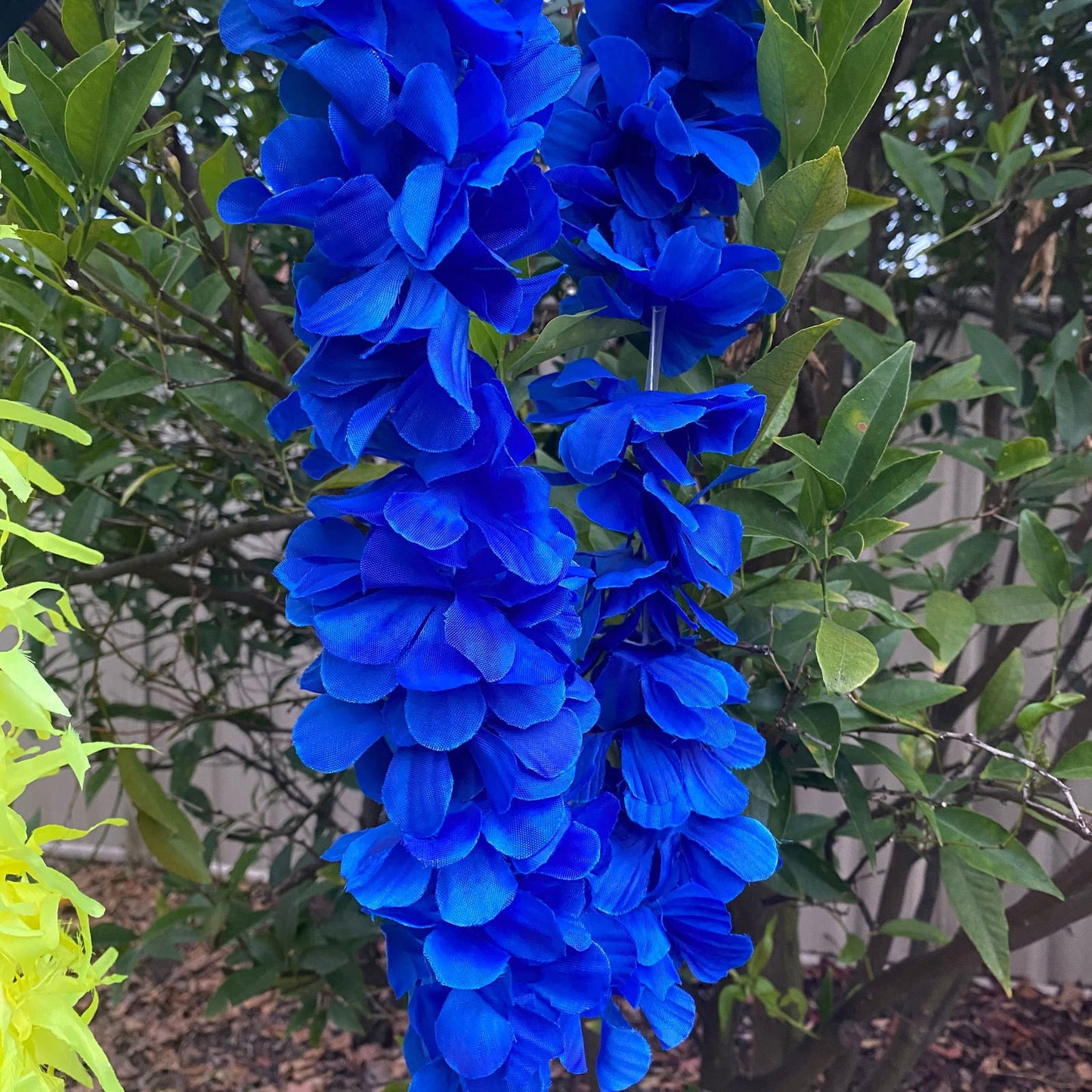 Lei Tropical Hawaiian Beach Luau Party Garland Hula Dance - Island Aesthetica