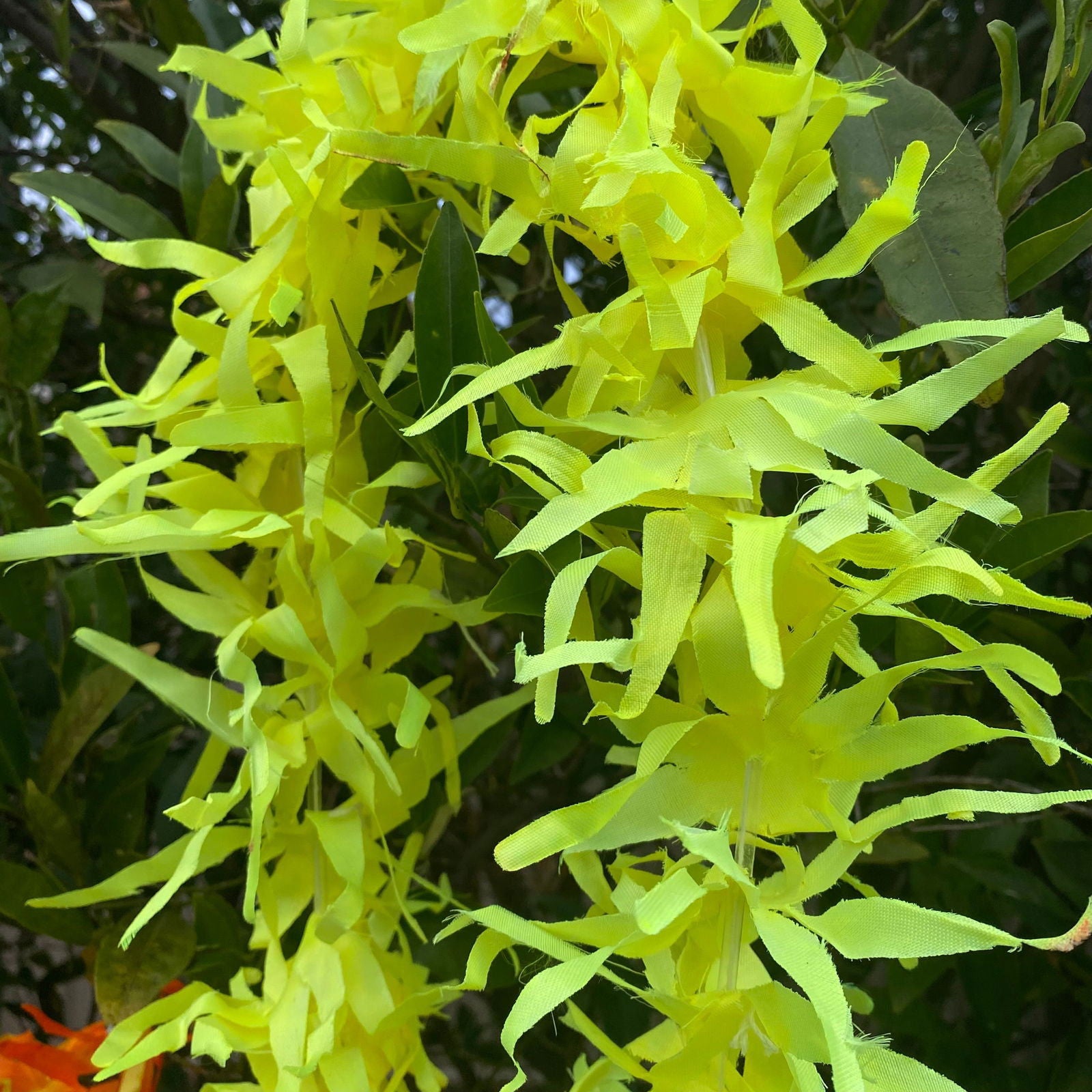 Lei Tropical Hawaiian Beach Luau Party Garland Hula Dance - Island Aesthetica