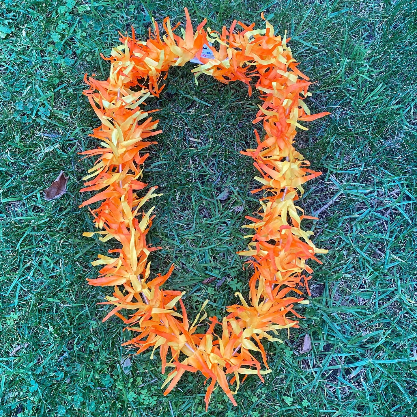 Lei Tropical Hawaiian Beach Luau Party Garland Hula Dance - Island Aesthetica
