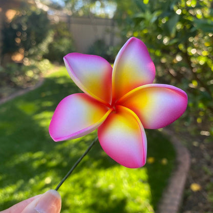 Malia Small Frangipani Sei Flowers 6cm - Island Aesthetica