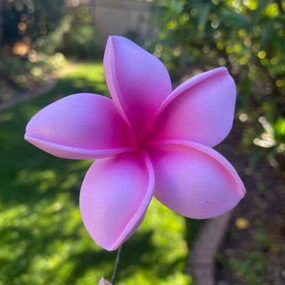 Malia Small Frangipani Sei Flowers 6cm - Island Aesthetica