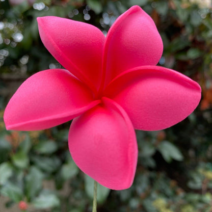 Malia Small Frangipani Sei Flowers 6cm - Island Aesthetica