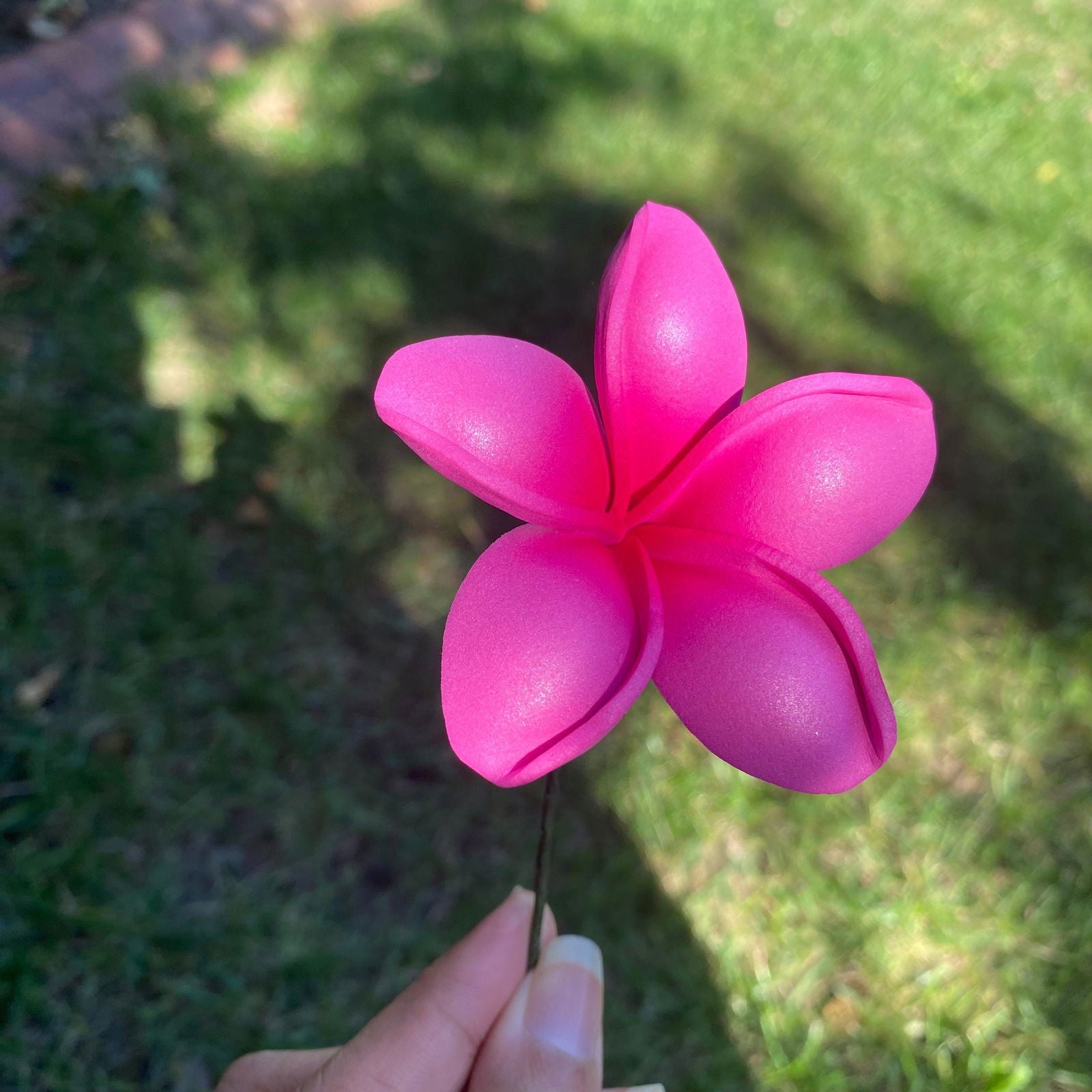 Malia Small Frangipani Sei Flowers 6cm - Island Aesthetica