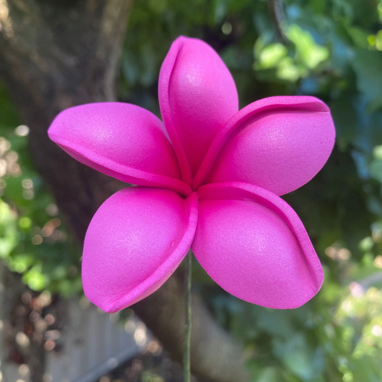 Malia Small Frangipani Sei Flowers 6cm - Island Aesthetica