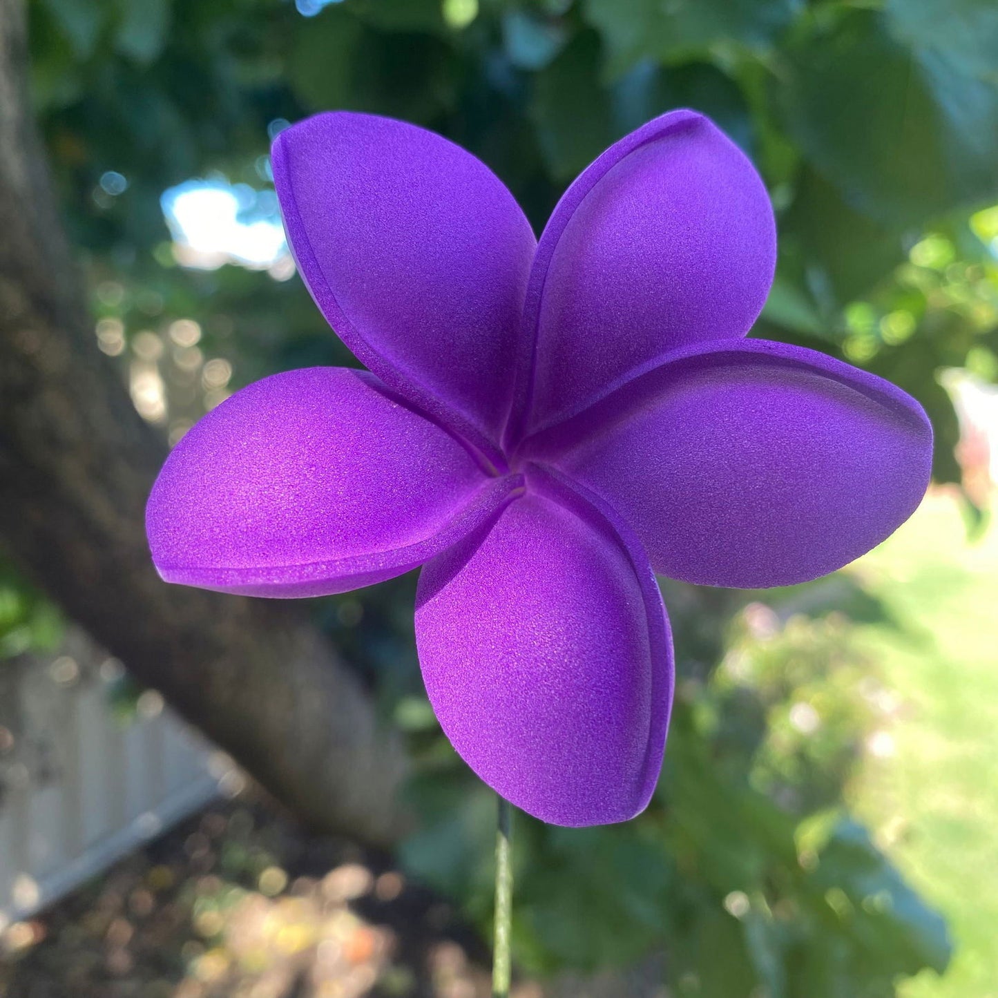 Malia Small Frangipani Sei Flowers 6cm - Island Aesthetica