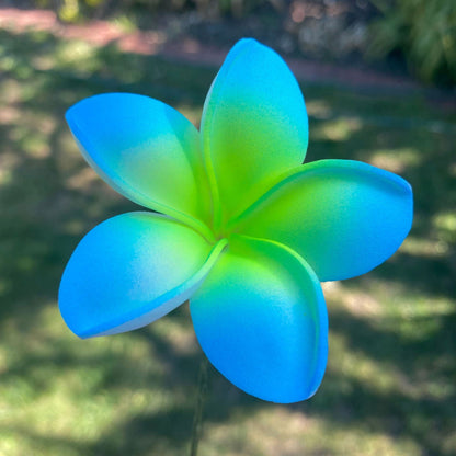 Malia Small Frangipani Sei Flowers 6cm - Island Aesthetica