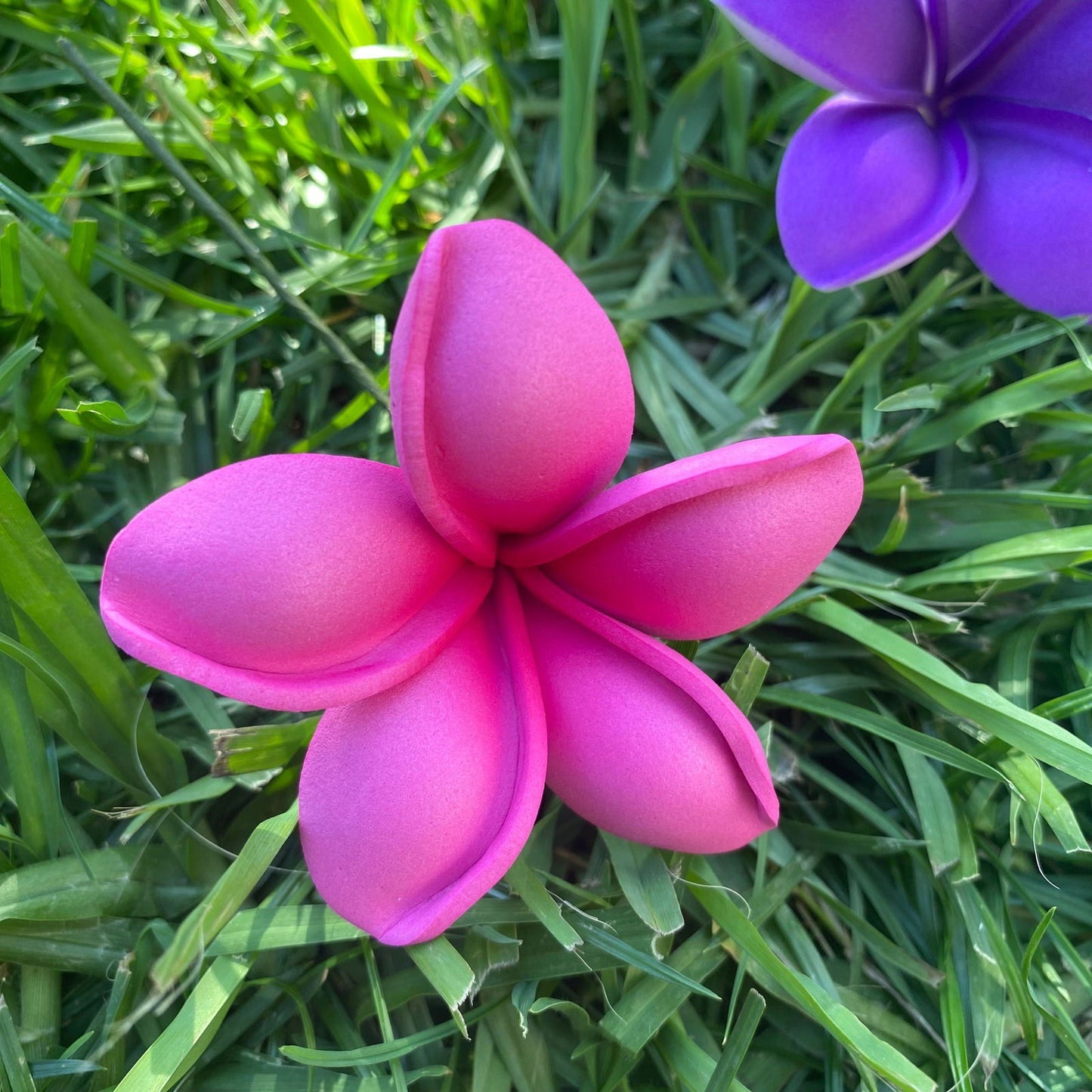 Malia Small Frangipani Sei Flowers 6cm - Island Aesthetica