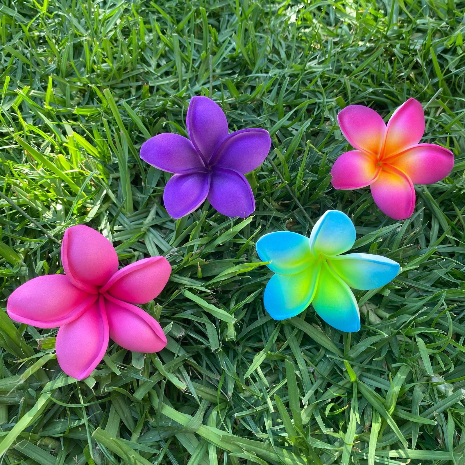 Malia Small Frangipani Sei Flowers 6cm - Island Aesthetica