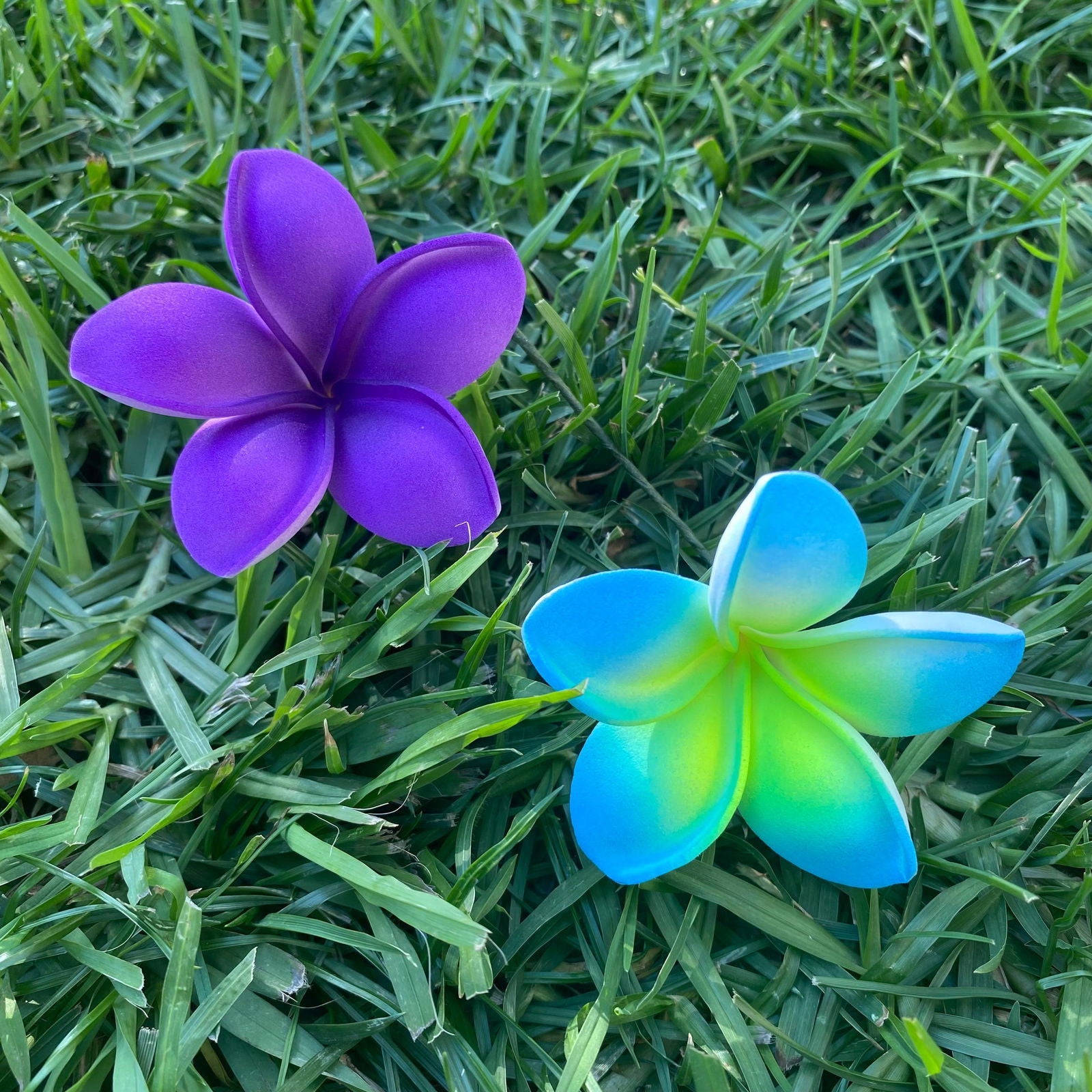 Malia Small Frangipani Sei Flowers 6cm - Island Aesthetica