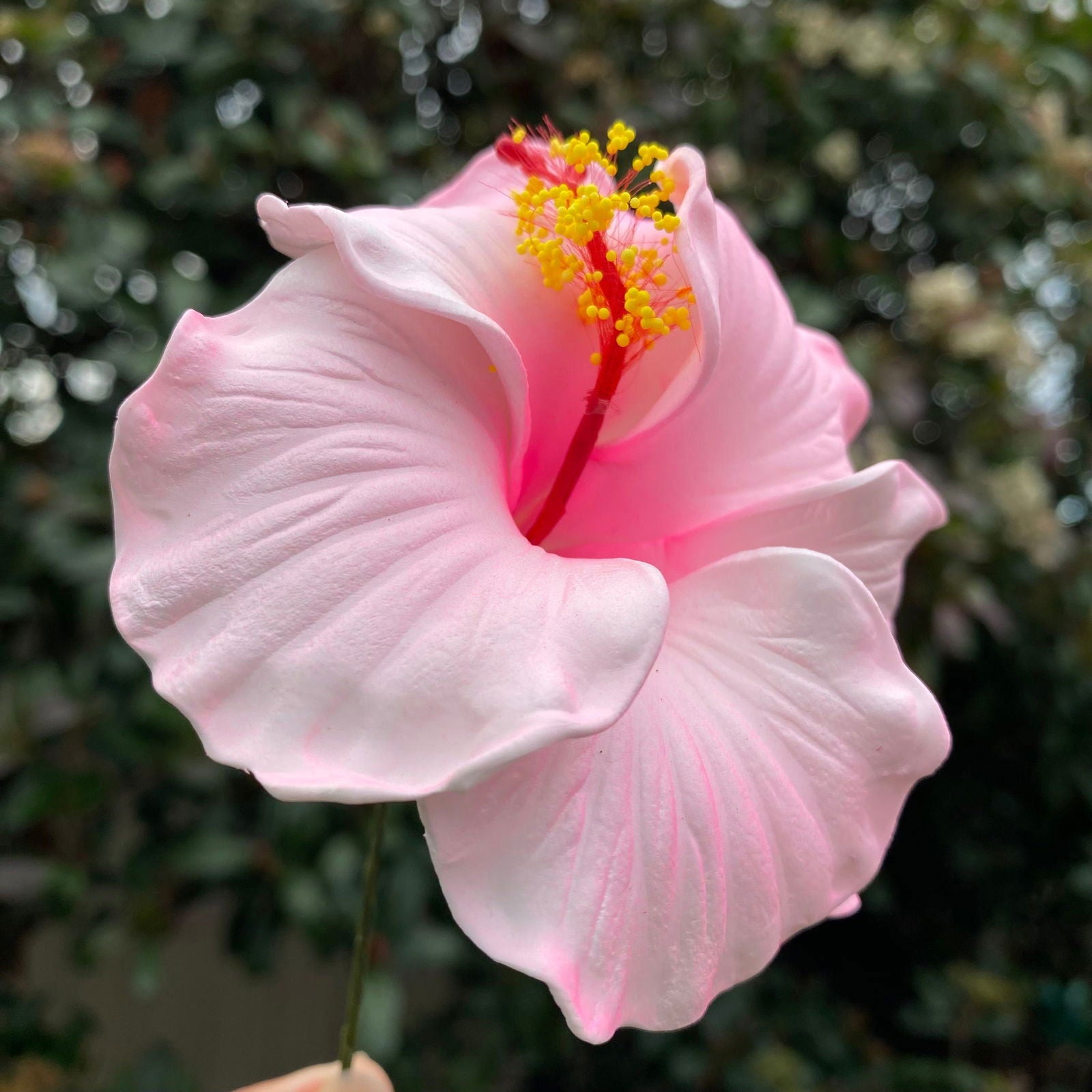 Medium Hibiscus Sei Foam Flowers 8.5cm Aute Pacifika Accessories - Island Aesthetica