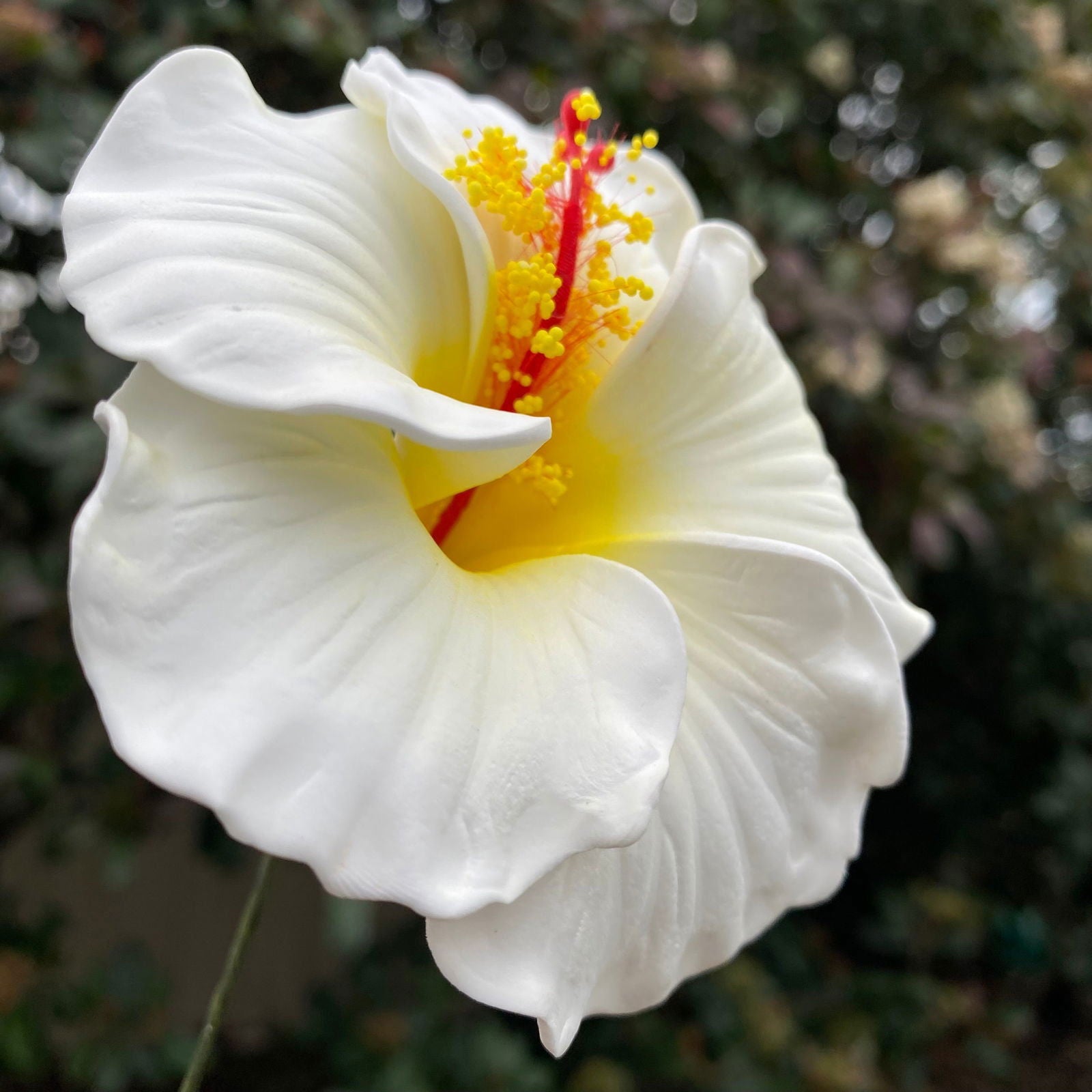 Medium Hibiscus Sei Foam Flowers 8.5cm Aute Pacifika Accessories - Island Aesthetica