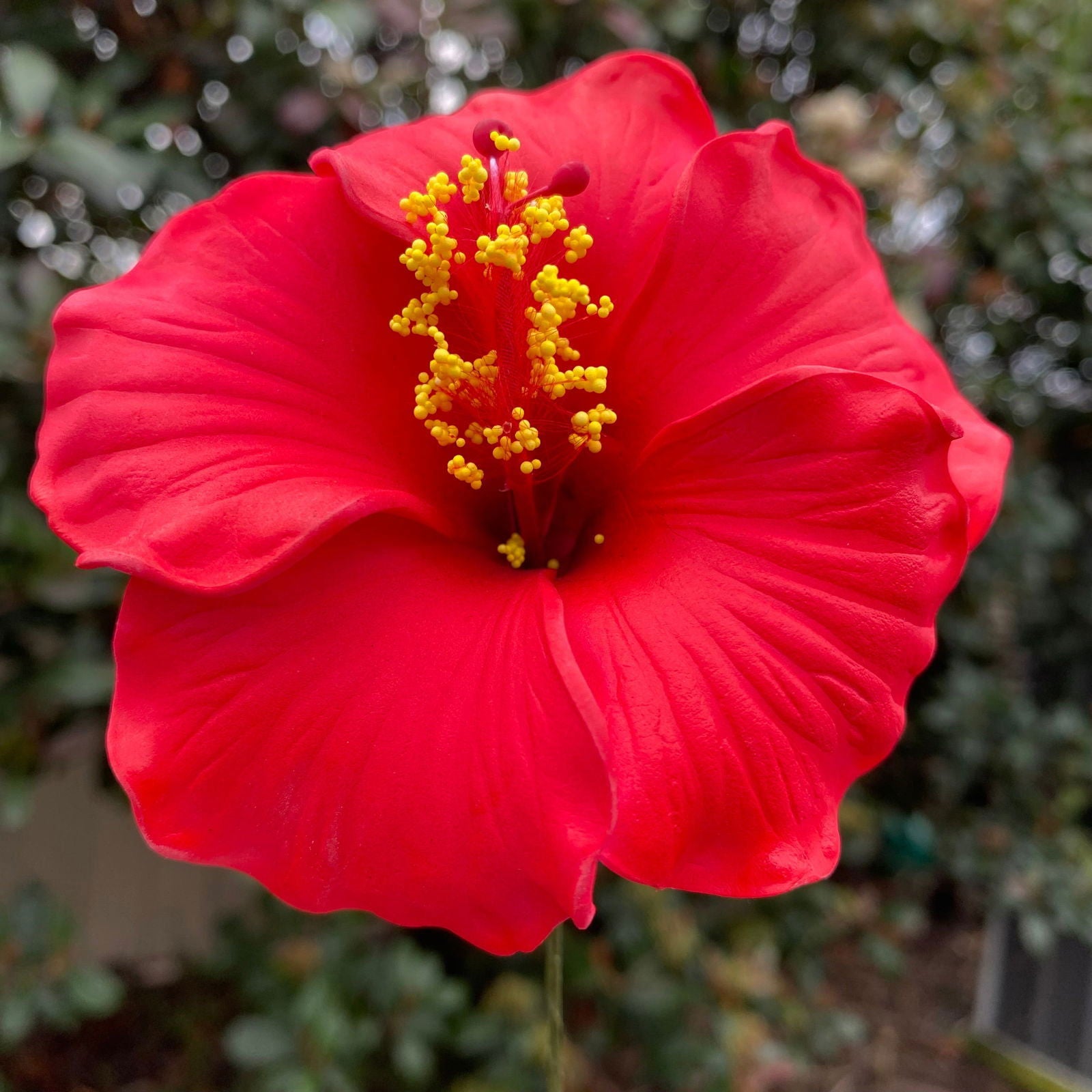 Medium Hibiscus Sei Foam Flowers 8.5cm Aute Pacifika Accessories - Island Aesthetica